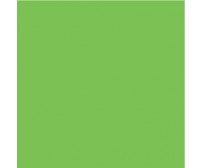 Kartong värviline Folia 50x70 cm, 300g/m² - 1 leht - heleroheline
